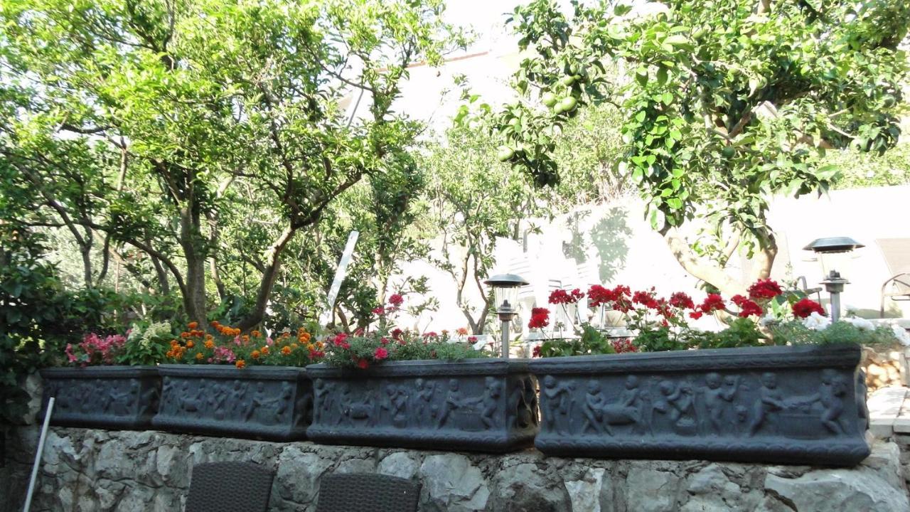 Holiday Home Apartment Tedo 克勒克 外观 照片